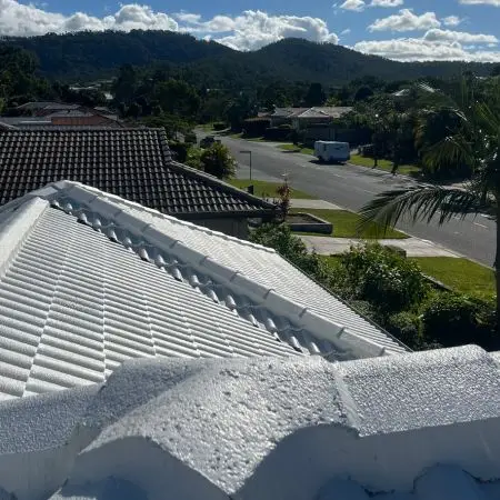 Painted Tiled Roof in Coomera Gold Coast